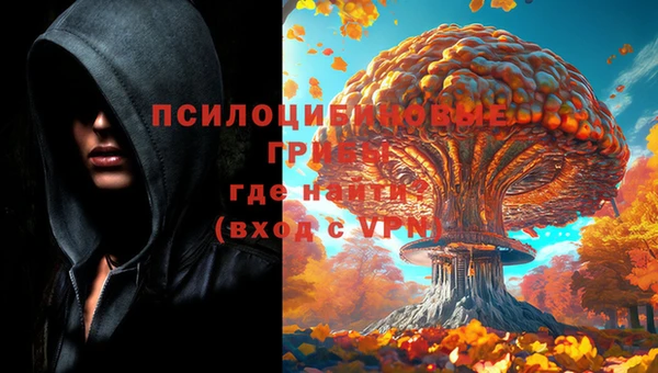 спиды Беломорск