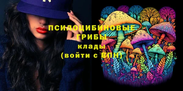 2c-b Белокуриха