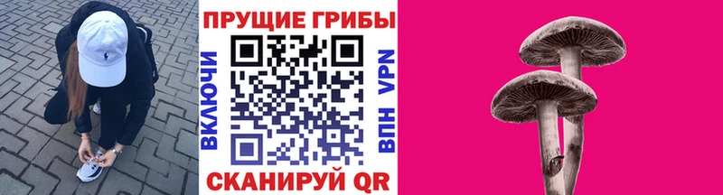 Галлюциногенные грибы GOLDEN TEACHER  OMG как войти  Томмот 